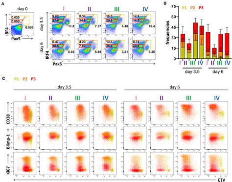 Frontiers Flow Cytometry Based Protocols For The Analysis Of Human Plasma Cell Differentiation