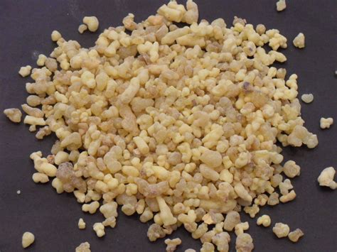 Frankincense Raw Tears | World Seed Supply