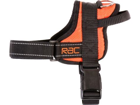 Rac Walking Harness Small Halfords Uk