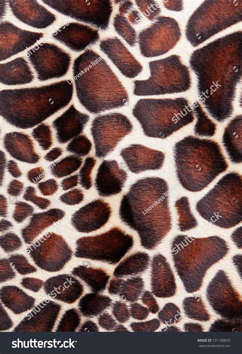 Giraffe Skin Pattern Texture Stock Photo (Edit Now) 131100020