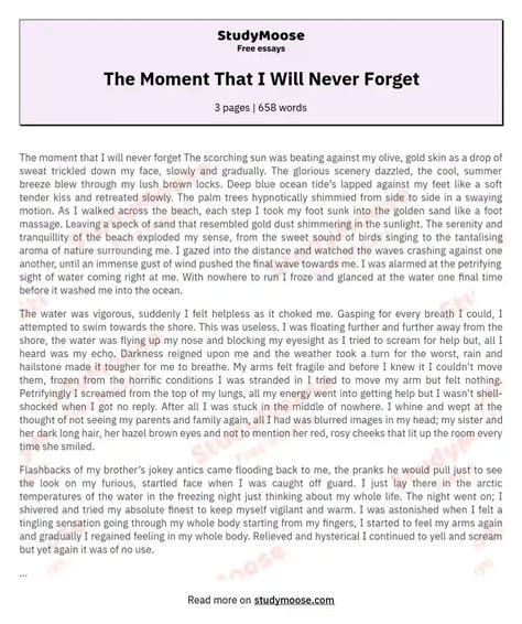 The Moment That I Will Never Forget Free Essay Example