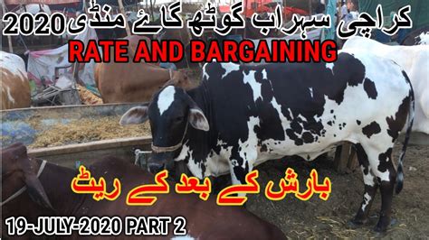 Cow Mandi Price Update Maweshi Mandi Sohrab Ghoth Karachi July