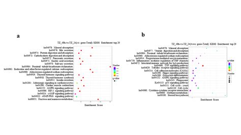 RNA Sequencing Reveals Dynamic Expression Of LncRNAs And MRNAs In