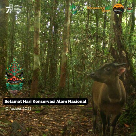 Taman Nasional ♦ Bogani Nani Wartabone