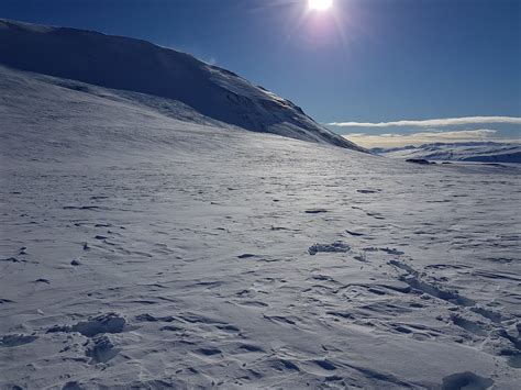 Svínaskarð Elfar Johannes Eiriksson Flickr