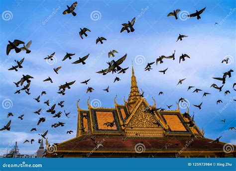 Peace Doves Fly Over The Royal Palace In Phnom Penh Cambodia Stock