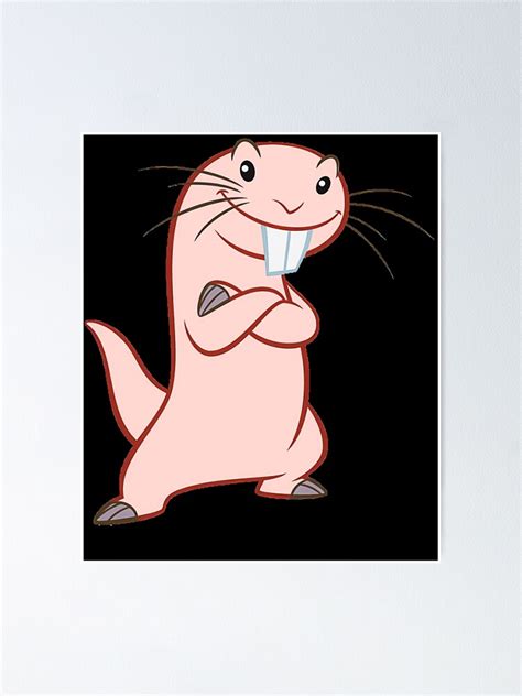 "Kim Possible Kim Possible Rufus Kim Possible" Poster for Sale by ...