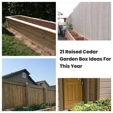 21 Raised Cedar Garden Box Ideas For This Year | SharonSable