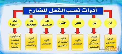 اعراب نصب الفعل المضارع بان المضمرة لاينز