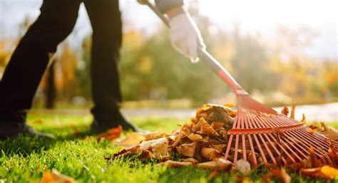 Top Notch Yard Clean Up Near Me In Lansdale