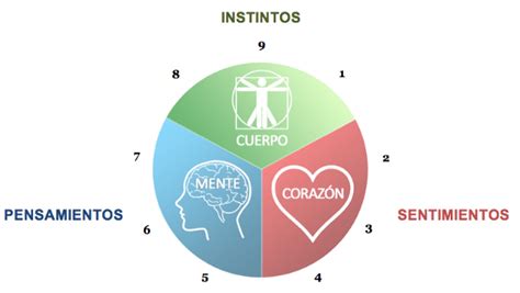 Las tríadas en el eneagrama de las personalidades