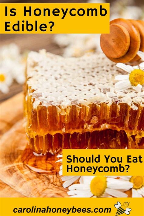 Is Honeycomb Edible {is It Safe To Eat Beeswax} Carolina Honeybees