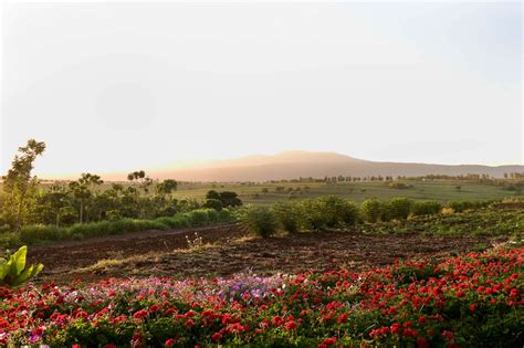 Ngorongoro Farm House | Safari Consultants