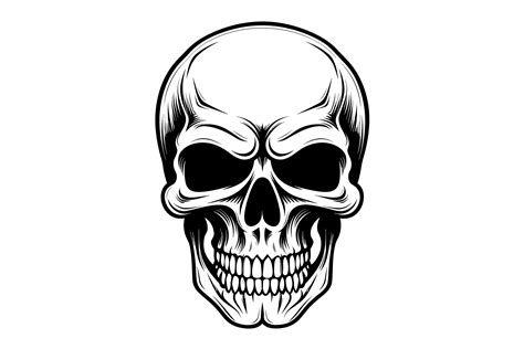 Skull Clipart Graphic By Illustrately · Creative Fabrica