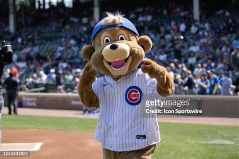 419 Chicago Cubs Mascot Stock Photos High Res Pictures And Images