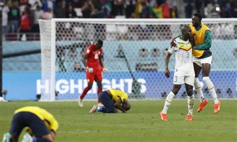 Lo Que No Viste Del Partido De Ecuador VS Senegal La Derrota De La