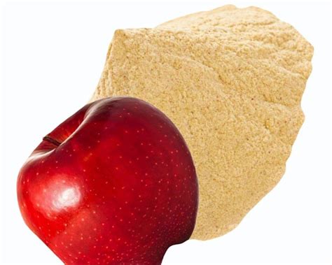 Spray Dried Apple Powder Pp Bag Packaging Size 25 Kg At Rs 580kg In