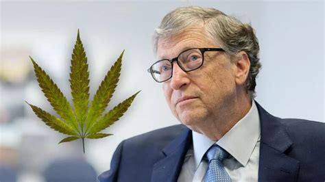 Bill Gates Confesó Que Consumió Marihuana Cuando Era Ilegal Esta Es La Historia Infobae