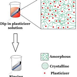 Schematic illustration of a proposed mechanism for the role of ...