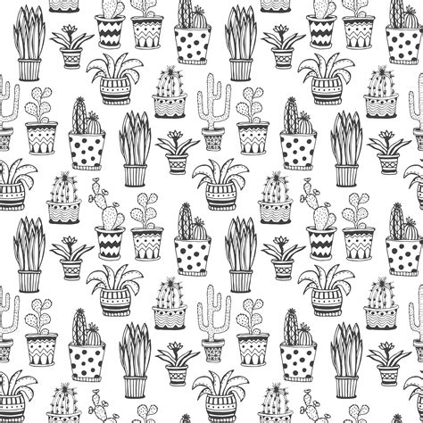 Black And White Cactus Wallpaper – Zerkalovulcan