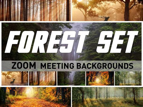 Forest Virtual Background For Zoom Meetings