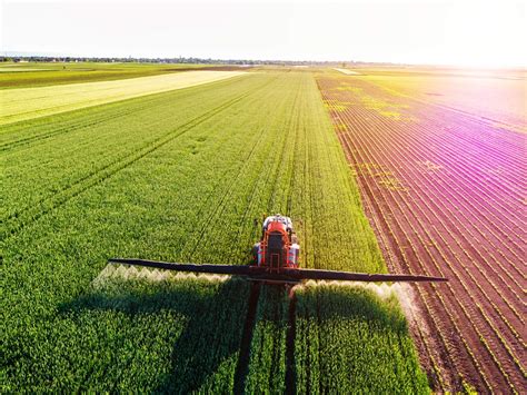 Innovazione Nell Agricoltura Biologica Almaverde Bio Post