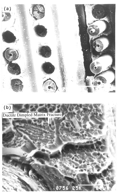 Typical Fracture Surface Morphologies Of Specimen Annealed At 815~ And