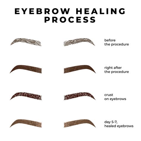 Microblading Healing Process I Brow Queen La