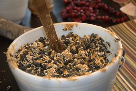 Living Sustainably | Chasing Salamanders