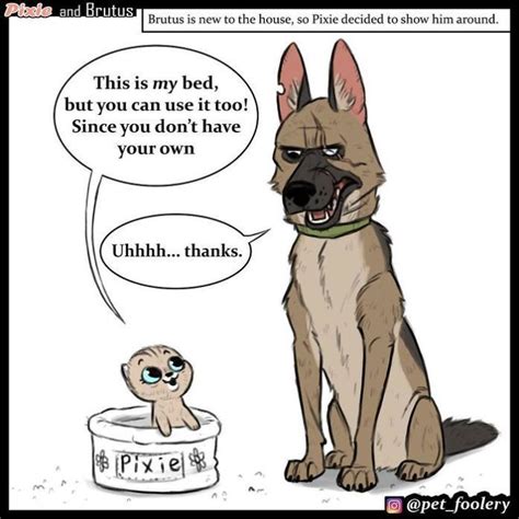 These Hilariously Adorable Comics About Brutus And Pixie Will Instantly