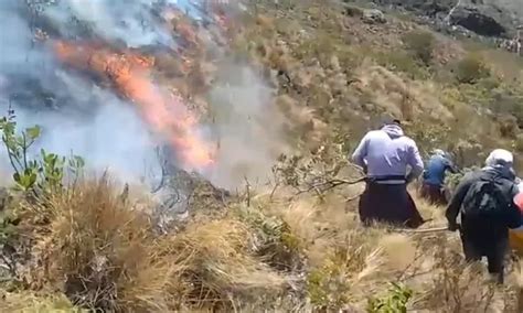 Reportan Incendio Forestal En Piura