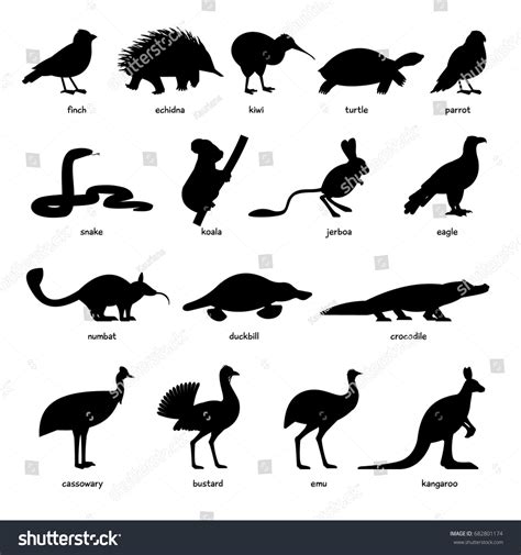 13,223 Australian Animals Silhouette Images, Stock Photos, 3D objects ...