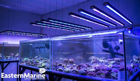 Orphek OR 120 Bar LED Lights All EasternMarine Aquariums •Orphek