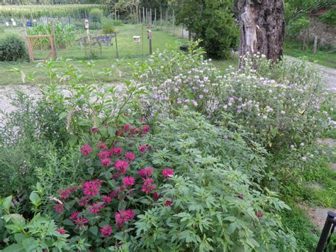 Nj Audubon Wattles Stewardship Center Recognized As A Nj Sustainable