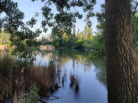 Kapitalanlage Sehr helle Wohnung mit dreieinhalb Zimmern großem Wohn