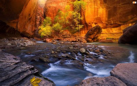 Stany Zjednoczone Kanion Zion Narrows Stan Utah