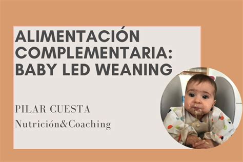 Blw Alimentaci N Complementaria Sesi N Personalizada Escuela De