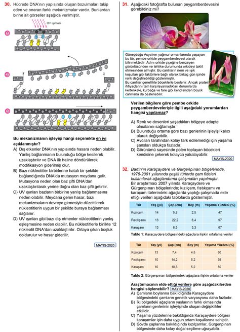 Dna Ve Genetik Kod Çalışma Yaprağı 8 Sınıf Hüseyin Faruk Yildirim