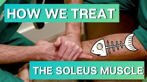 Pain in the calf? Adhesion Treatment for SOLEUS Muscle - YouTube