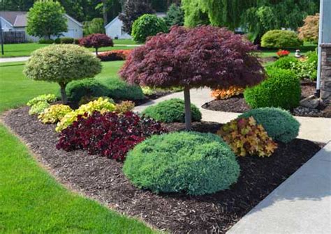 Landscaping Mt Laurel Nj 08054 Lewis Lawn And Tree Service