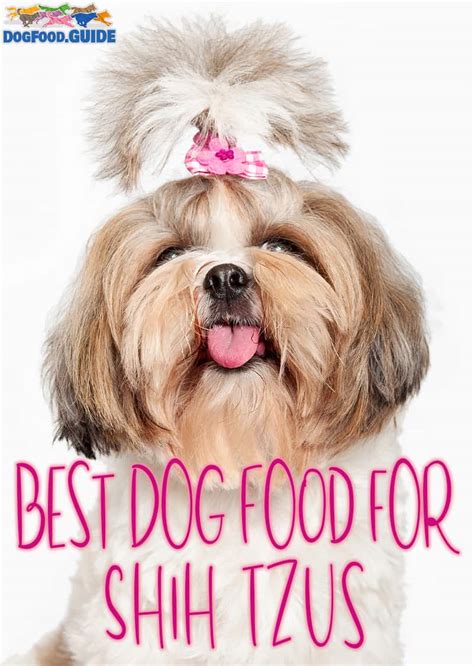 10 Best Dog Food For Shih Tzu Keep Your Small Dog Healthy