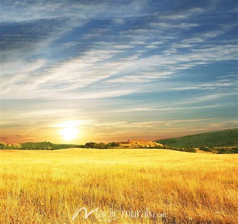 Country Sunrise Wallpaper Wall Mural by Magic Murals