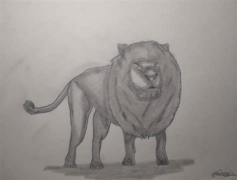 Lion Sketch by LonelyArtistStudios on DeviantArt