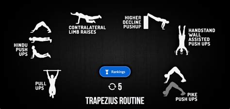 Trapezius Routine - Madbarz workout with video-explanation