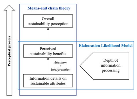 Theoretically assumed perceptual process. | Download Scientific Diagram