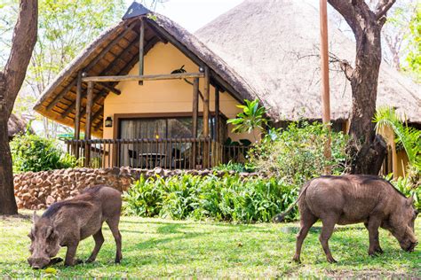 Chobe Marina Lodge Luxury Lodge In Kasane