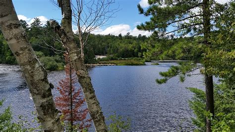 Tahquamenon Falls Hiking: Routes & Tips - Wandering Michigan Wisconsin