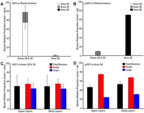 Parallel Prefrontal Pathways Reach Distinct Excitatory And Inhibitory