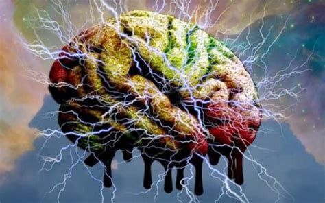 Neurociencia ¿qué Sucede Con El Cerebro Cuando Estamos Muriendo Sin