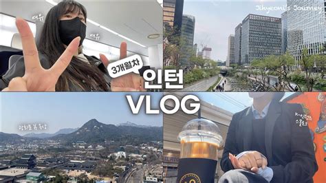 인턴 Vlog 3개월차 인턴의 잘 먹고 잘 사는 법 출근을 가장한 맛집 탐방 브이로그 휴학생 일상 외국계